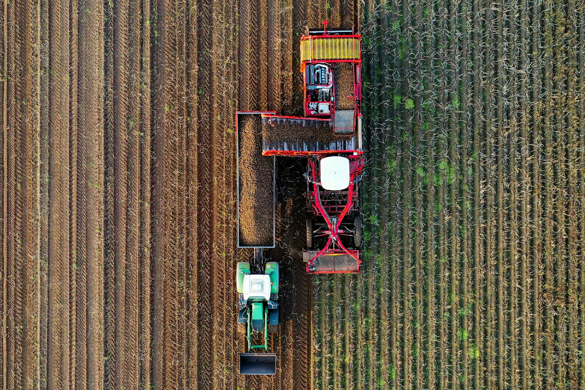 Verminder je afhankelijkheid van commerciële productie