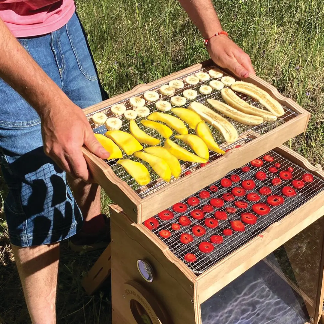 Solar food dehydrator